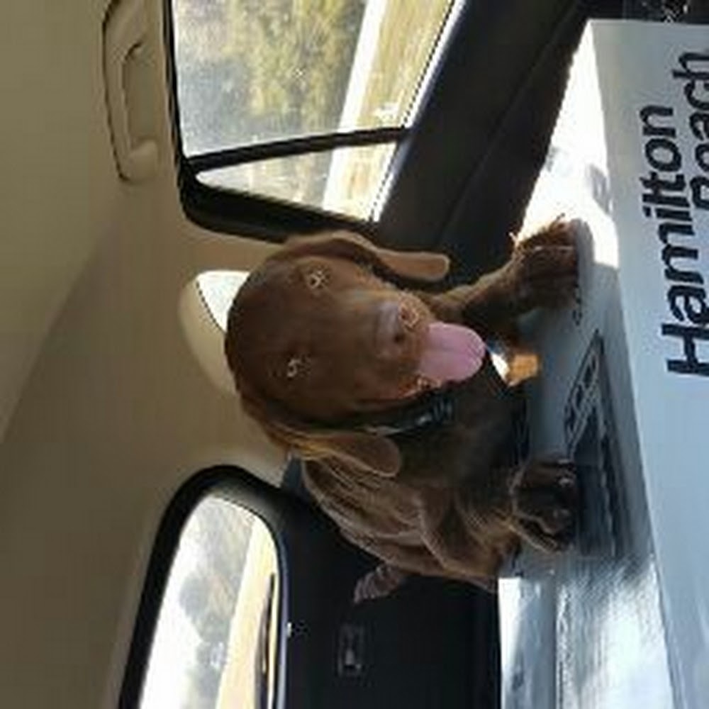 Meet your Posher, Bradley